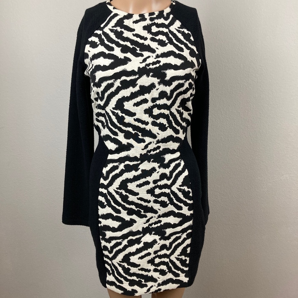 H&M Zebra Print Long Sleeve Bodycon Dress